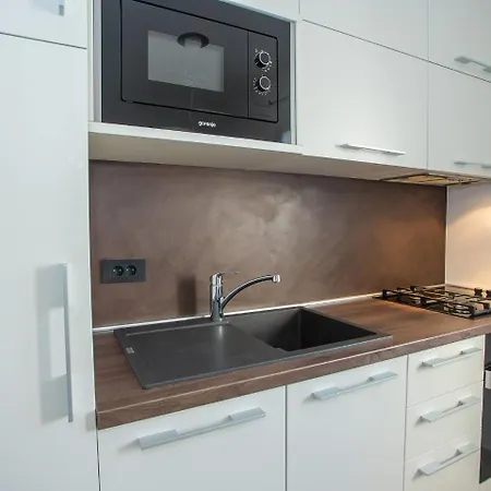 Spacious With Private Swimming Pool In Labin * Raša
